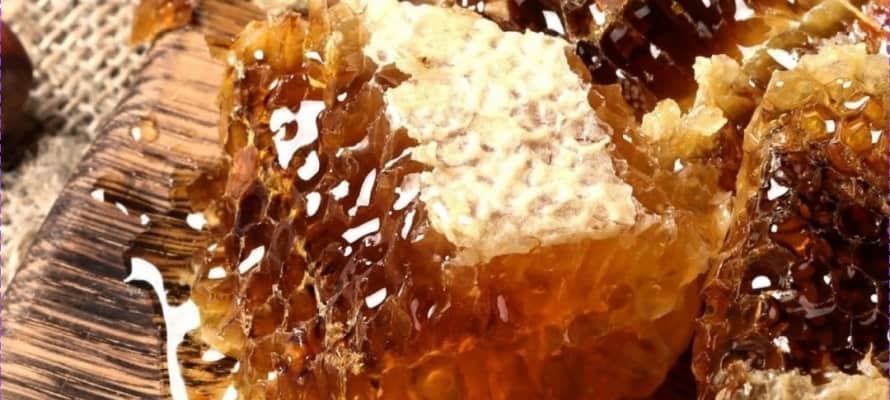 تصویر 4 از عسل کوهی طبیعی با غلظت مطلوب و طعم ماندگار